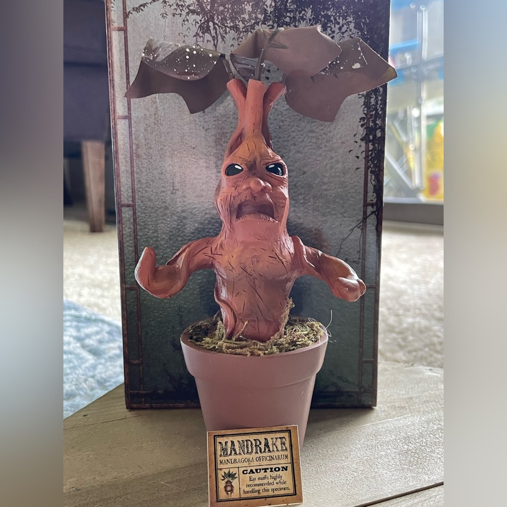 Mandrake